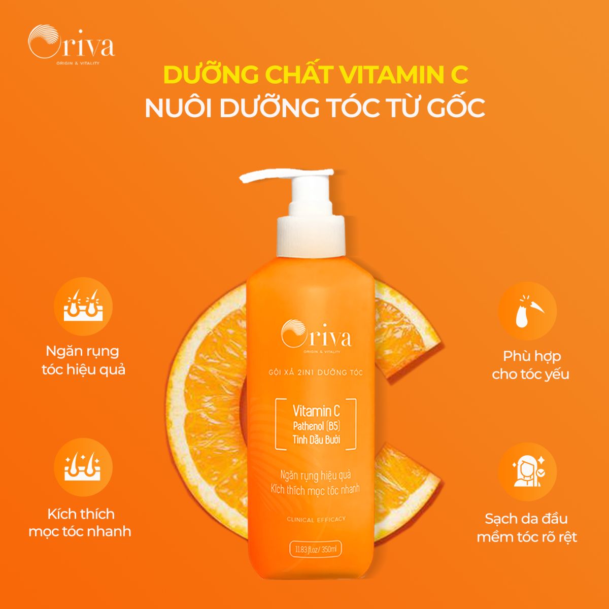 dầu gội xả 2in1